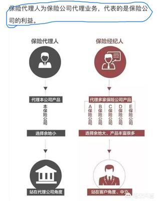 泰康健康百分百D與太平福祿康瑞對比分析 保險代理業務的專業視角