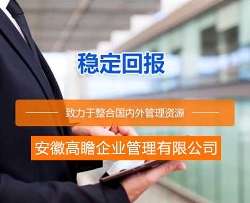 償債能力評級報告價格 償債能力評級報告 安徽高瞻公司 圖